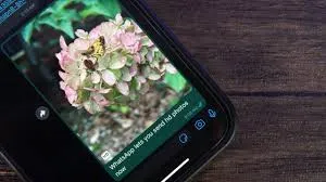WhatsApp Introduces High-Quality Photo Sharing A Game Changer for Users