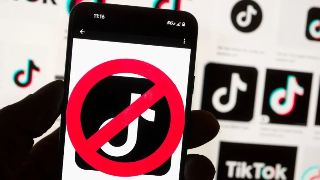 4. The International Fallout: How Other Countries Responded to the TikTok Ban (800 words)